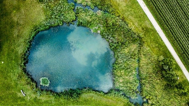 Microlandia