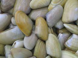 Storie da mangiare: arselle sul&nbsp;piatto