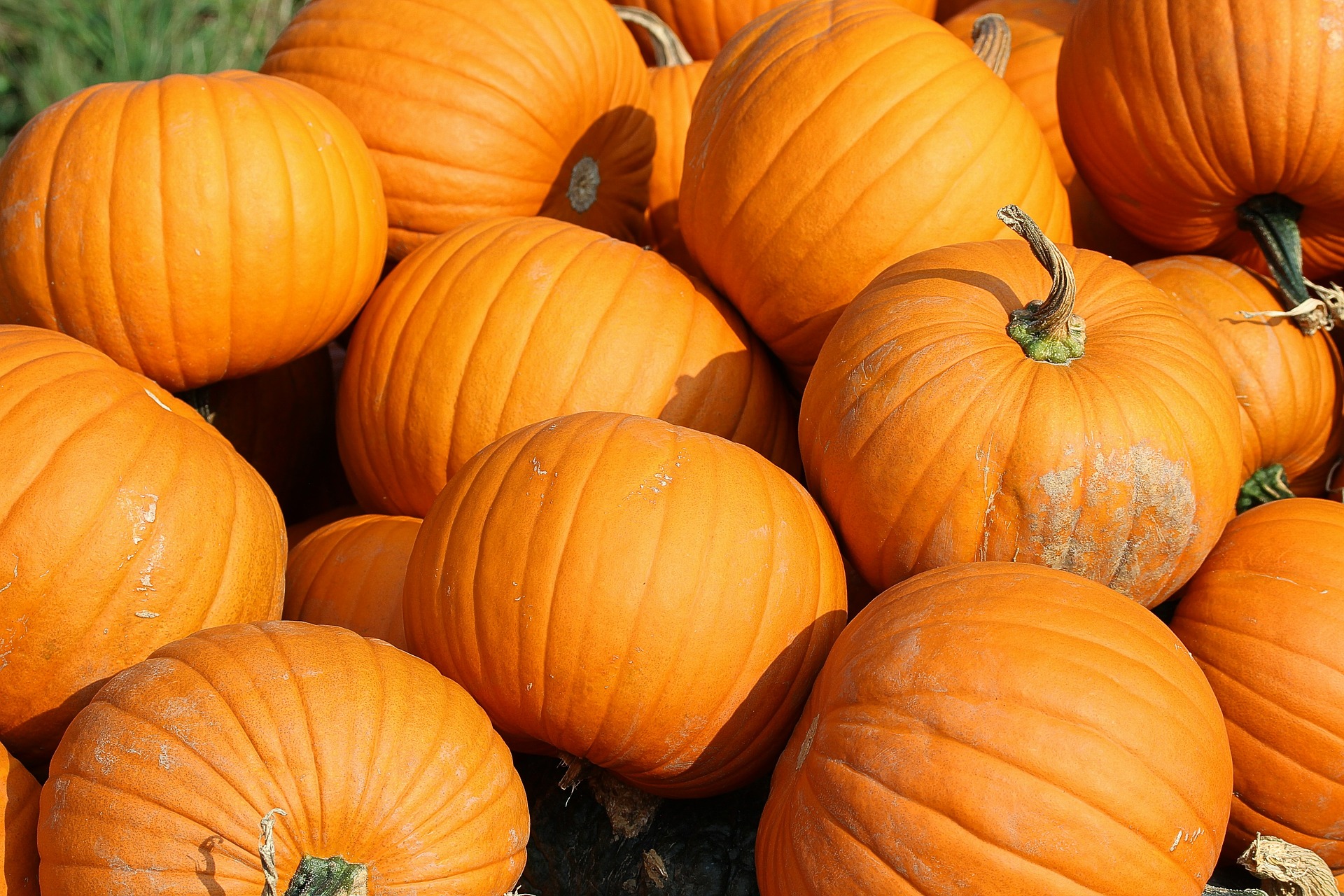 La zucca col trucco