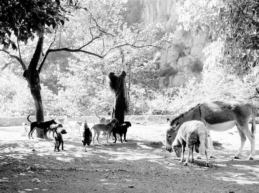 Quando fotografai Vali