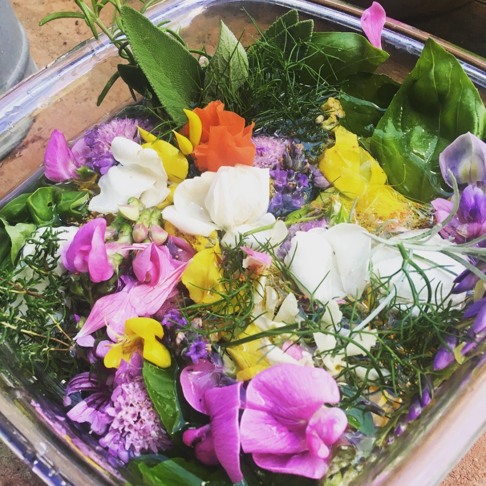 L’Acqua di San Giovanni: Una Fiaba&nbsp;Italiana