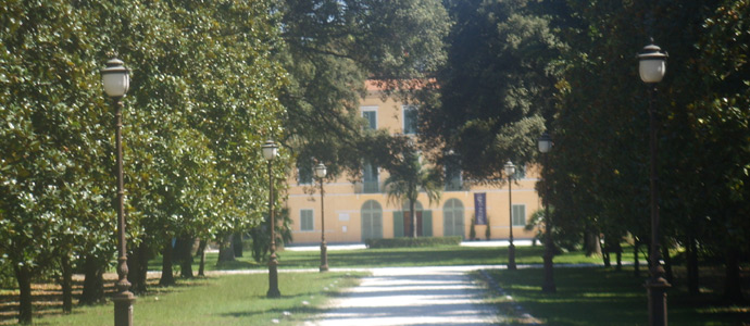 Nel Bosco dei&nbsp;Principi