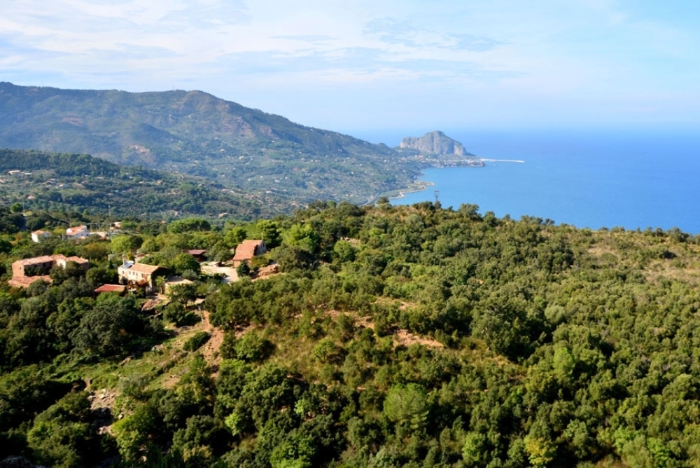 La Palma dell’ambiente
