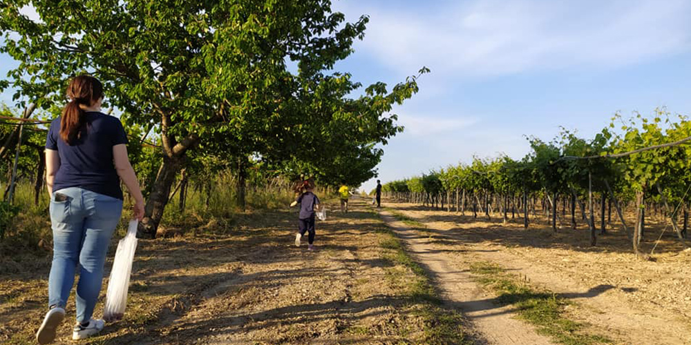 Agricoltura buona e libera