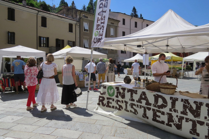 Resistenza  contadina