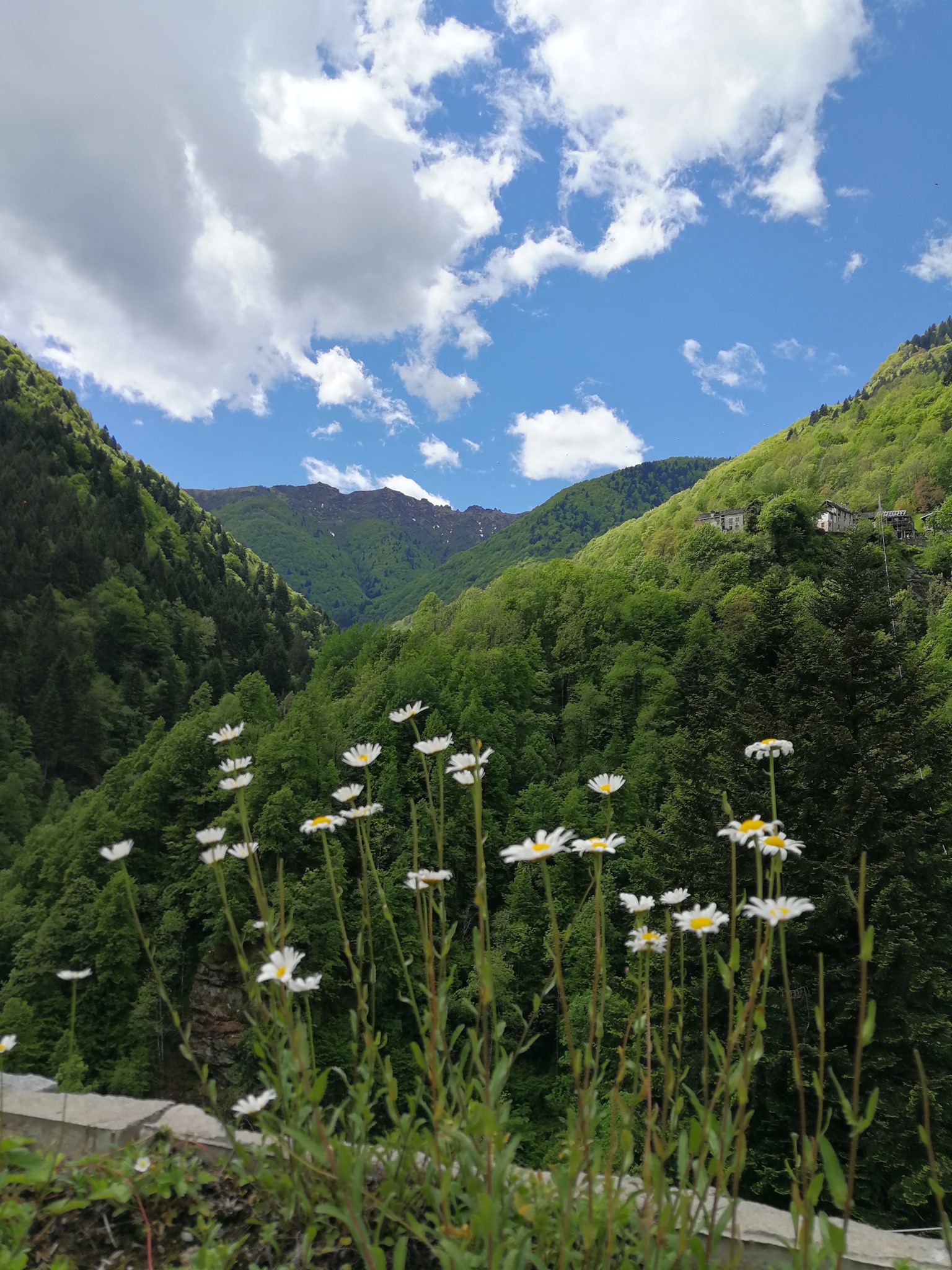 Un Fondo Per la Natura