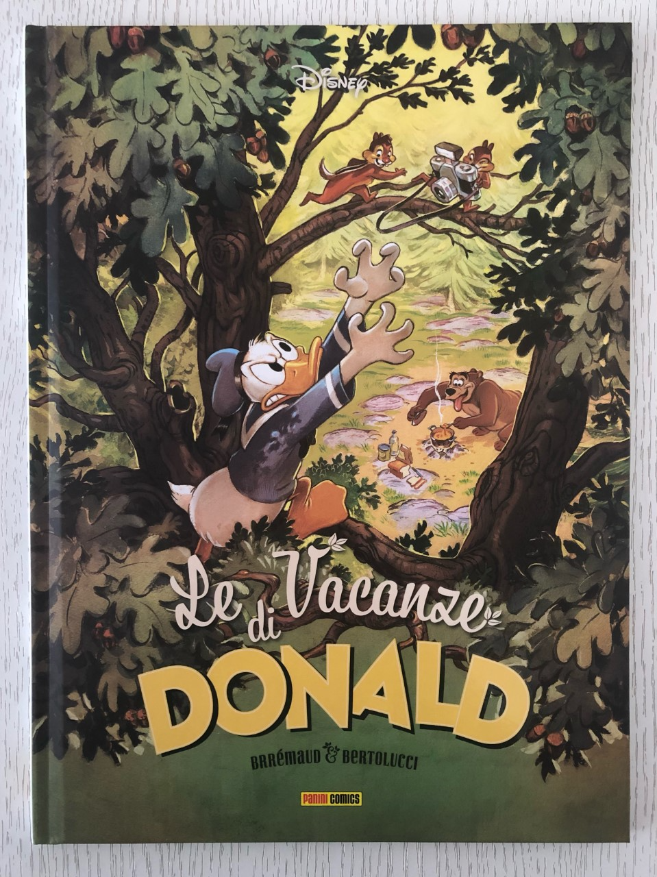 Le vacanze di Donald